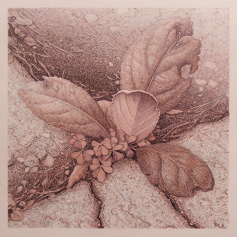 SidewalkStudy4.(available).Coloured pencil and pen on archival paper.7x7"image on 9x9"paper.DM or email chmilarsteve@outlook.com 2 inquire.