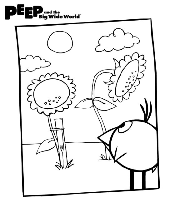 Peep Big Wide World On Twitter Admire The Sunflowers With