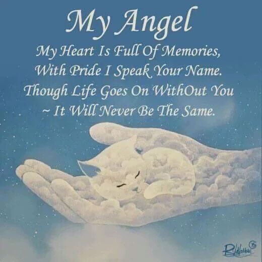 catgirl321's tweet photo. .@whskr #Purrs4DashMum💔 PURR PURR PURR PURR PURR PURR PURR PURR PURR PURR PURR PURR PURR PURR #weeti
#AngelDash #OTRB September 5 2013🌈🌟 https://t.co/TiJzMYaLD1