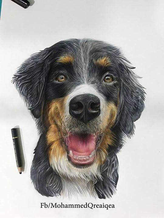 من رسوماتي 
#محمد_قريقع