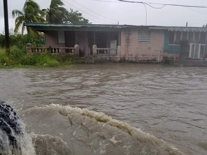 Ver imagen en Twitter