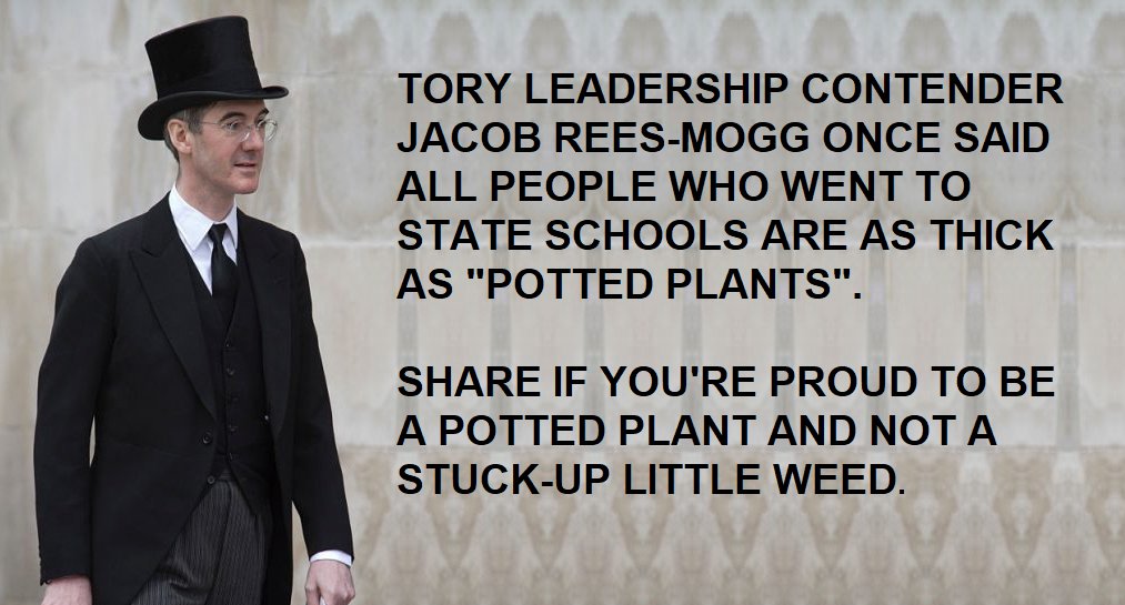 Tom Pride tweet media