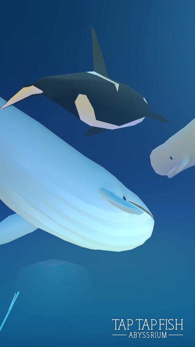 Clahster's tweet photo. Secret whale club
#taptapfish https://t.co/YnN40LOTiU