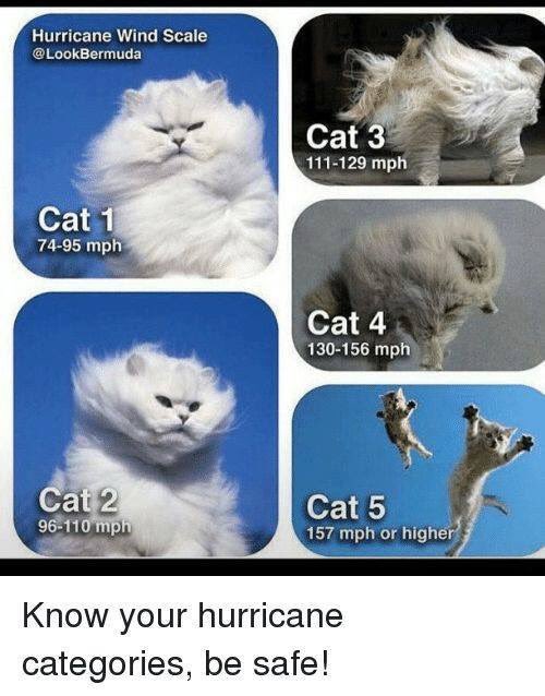 RobertaLavin's tweet photo. Know your hurricane categories https://t.co/dLHuoeiok4