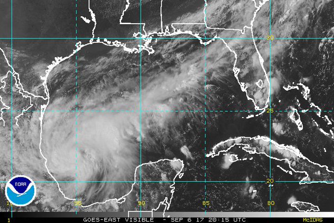 View image on Twitter View image on Twitter