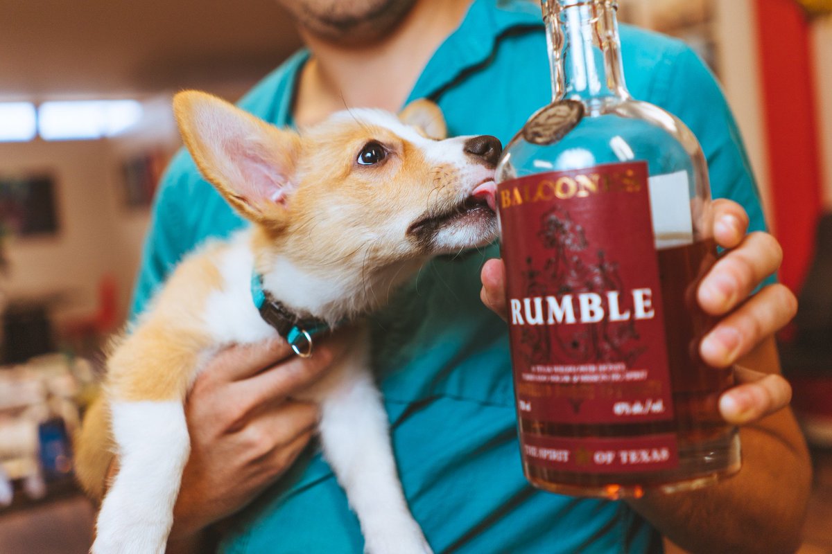 Do512's tweet photo. Pepper says: "Vote for our friends @BalconesWhisky, the original Texas Whisky, for Best Craft Whiskey!" https://t.co/17MS8uZDnd

#TexasProud https://t.co/ROeeyrjatk