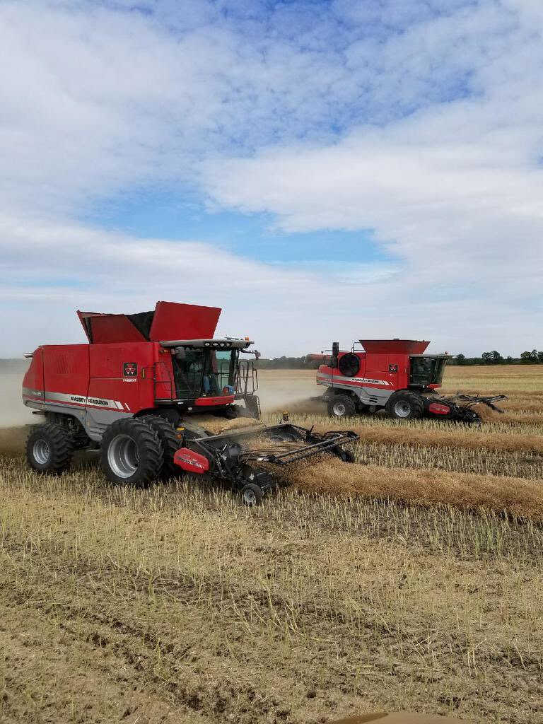 metcat3's tweet photo. Hard to beat the combining pics when they are side by side harvesting their Nexera Canola...  #nexeraldcrathwell2017 https://t.co/fSqzvuSXFs