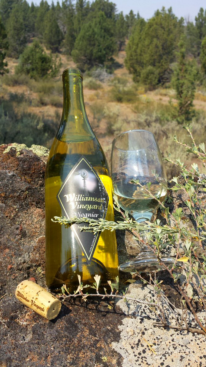 willorch's tweet photo. What's your favorite wine for sipping? #williamsonvineyards #idahowines #sunnyslope #viognier #wineandcamping #areyouasking #drinklocal https://t.co/1elwacp3mB