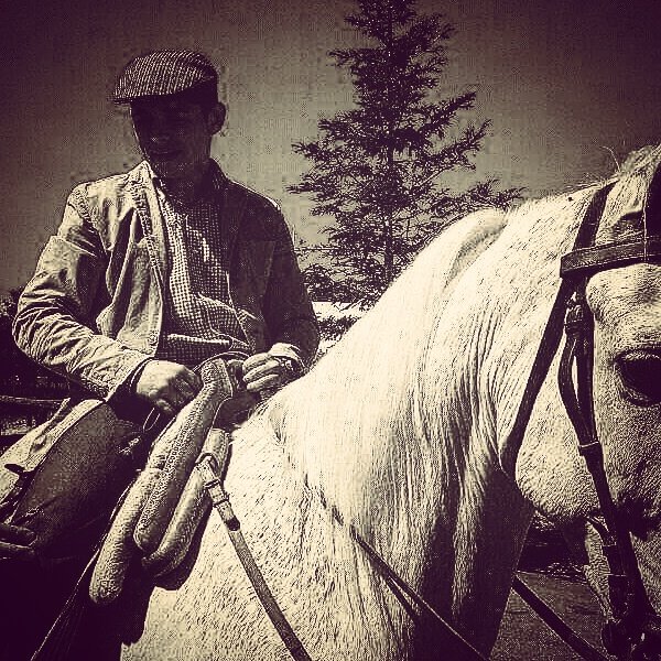 Peito_mora7's tweet photo. Se amaron dos caballos mire usted que maravilla! 😍🐎 https://t.co/IuBWfEVB2w
