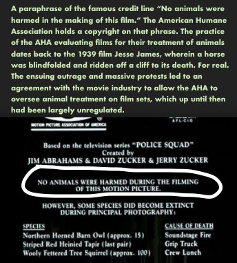 AnnotatedMST's tweet photo. Joel: No actors were abused in the making of this motion picture.
#AmericanHumaneAssociation #orHumaninthiscase
MST3K Ep. 113 https://t.co/A0dASrcinl