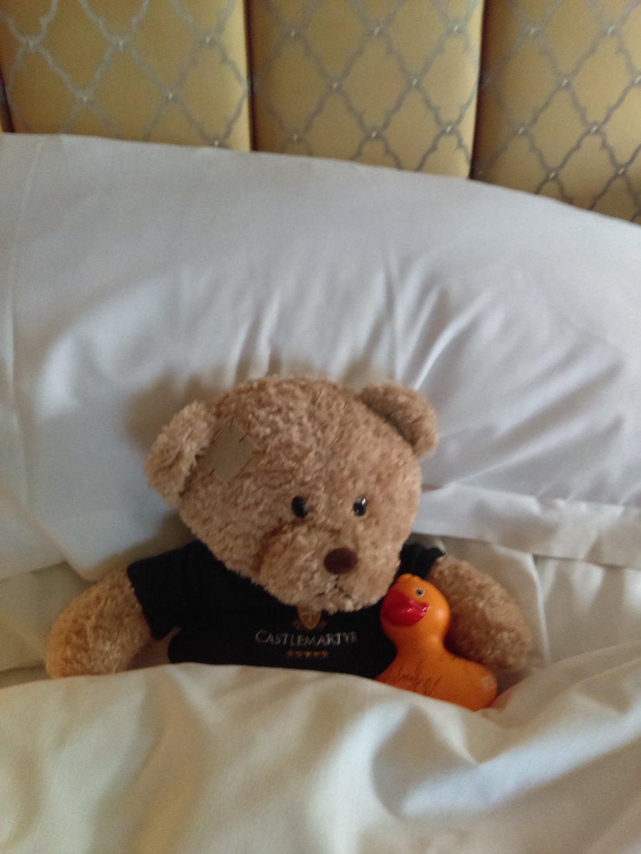 All snuggled up nice and cosy with Marty the gorgeous <a href="/CastlemartyrRes/">Castlemartyr Resort</a> bear. Night night everyone 😘 #5star #Cork #Castlemartyr
