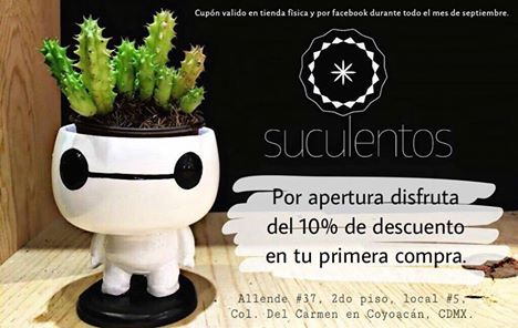 Suculentos una forma de tener un jardín con estilo en tu departamento.
Aprovecha sus promociones 😄🎍🌼 en Mercadito Coyoacán.