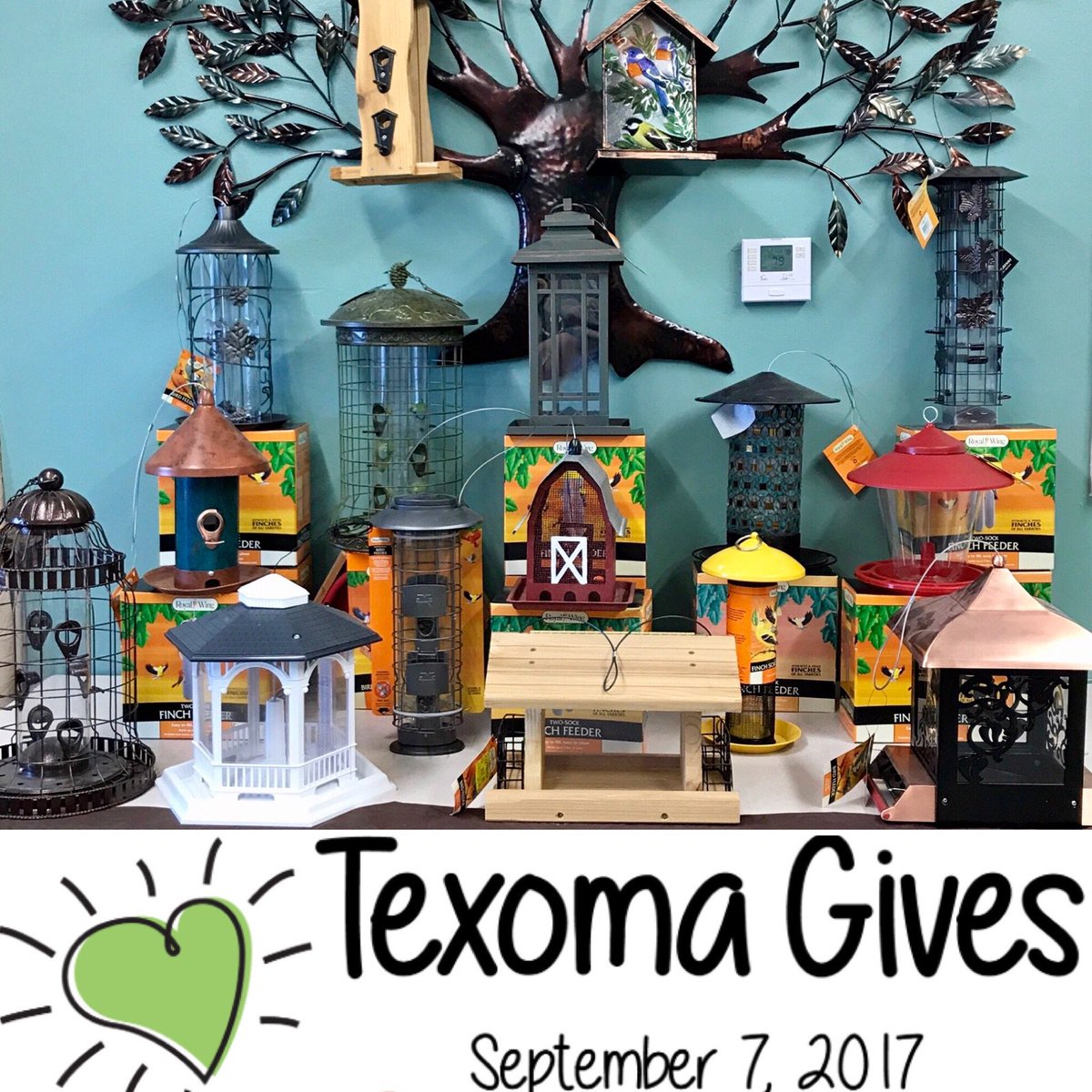 BirdRescueWF's tweet photo. Join us at 9AM at Wild Bird Rescue for our @TexomaGives donatin event! Donate &amp; get a bird feeder! Or donate online: https://t.co/lP6yZSwDmb https://t.co/qWExJg4fwR