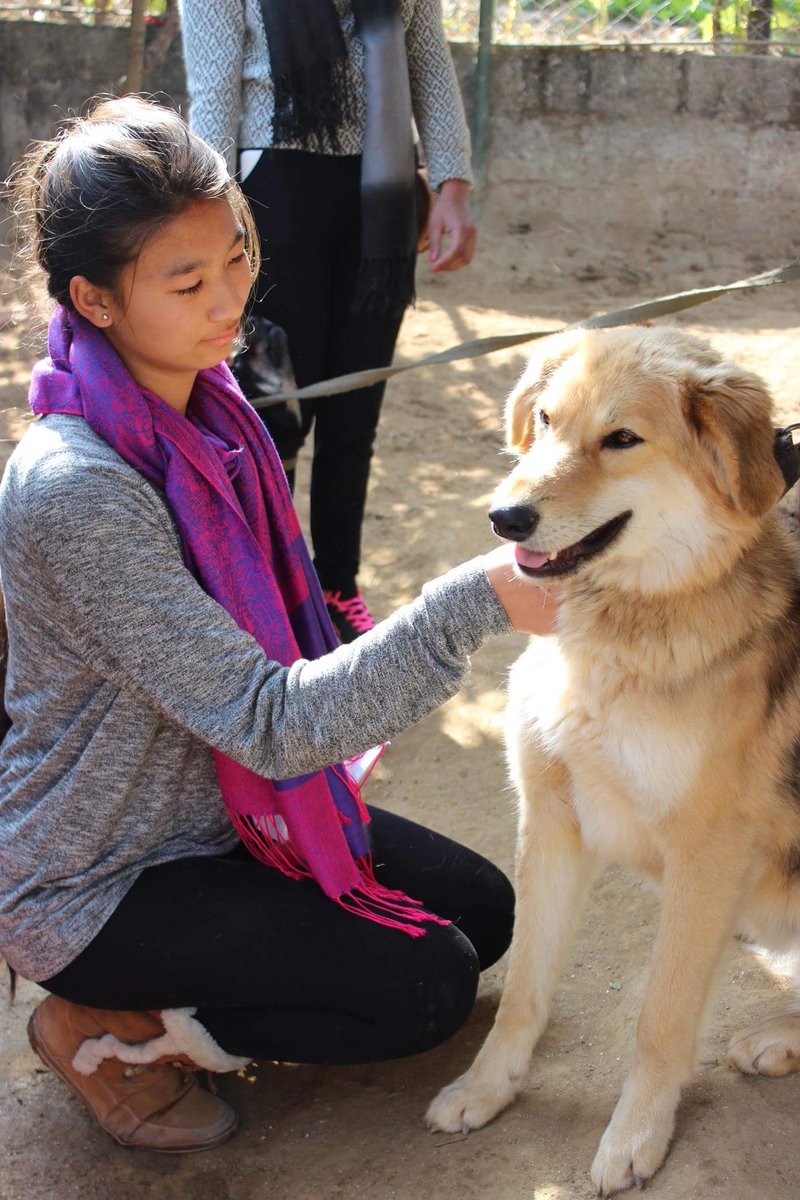 PHNepal's tweet photo. Humane Education because every animal deserves humane treatment! #ProjectHumaneNepal https://t.co/EZh8aEO4Ml