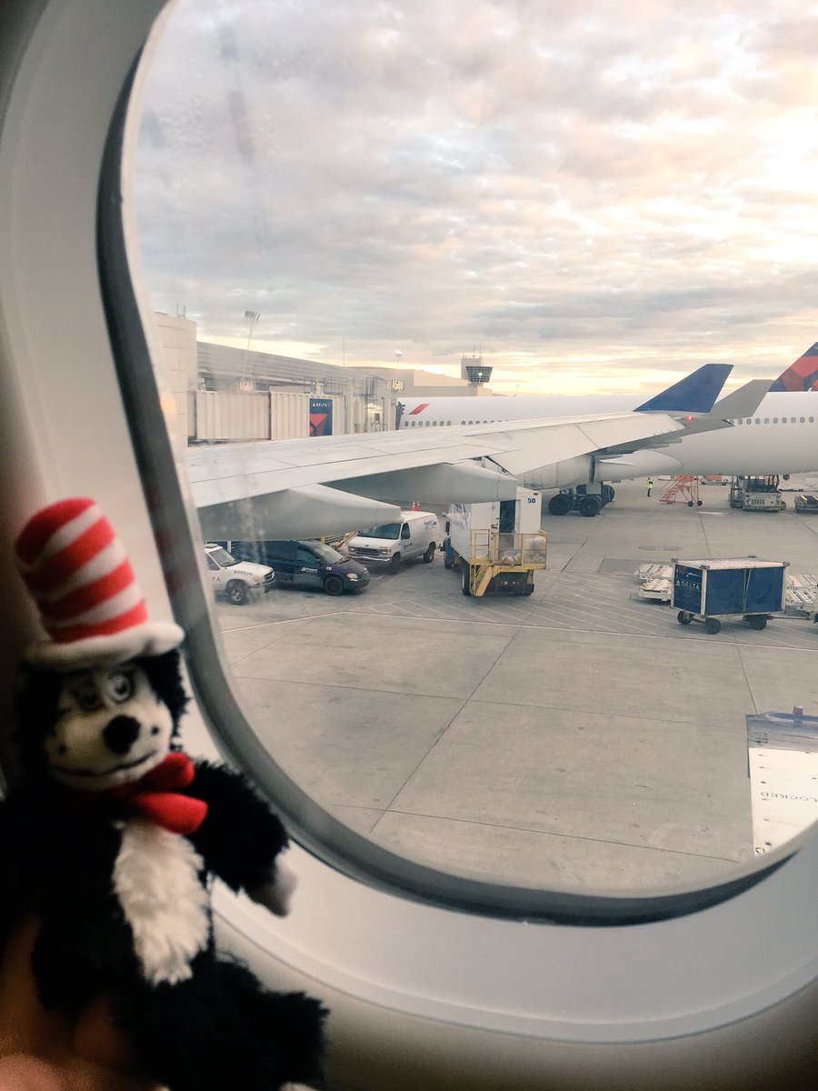 achatel311's tweet photo. This Little Cat A is on the way. Many things to explore, many plans in store during my visit to Germany. @LambertEdwards #PROI #PROIpartner https://t.co/H5tpmc6keb