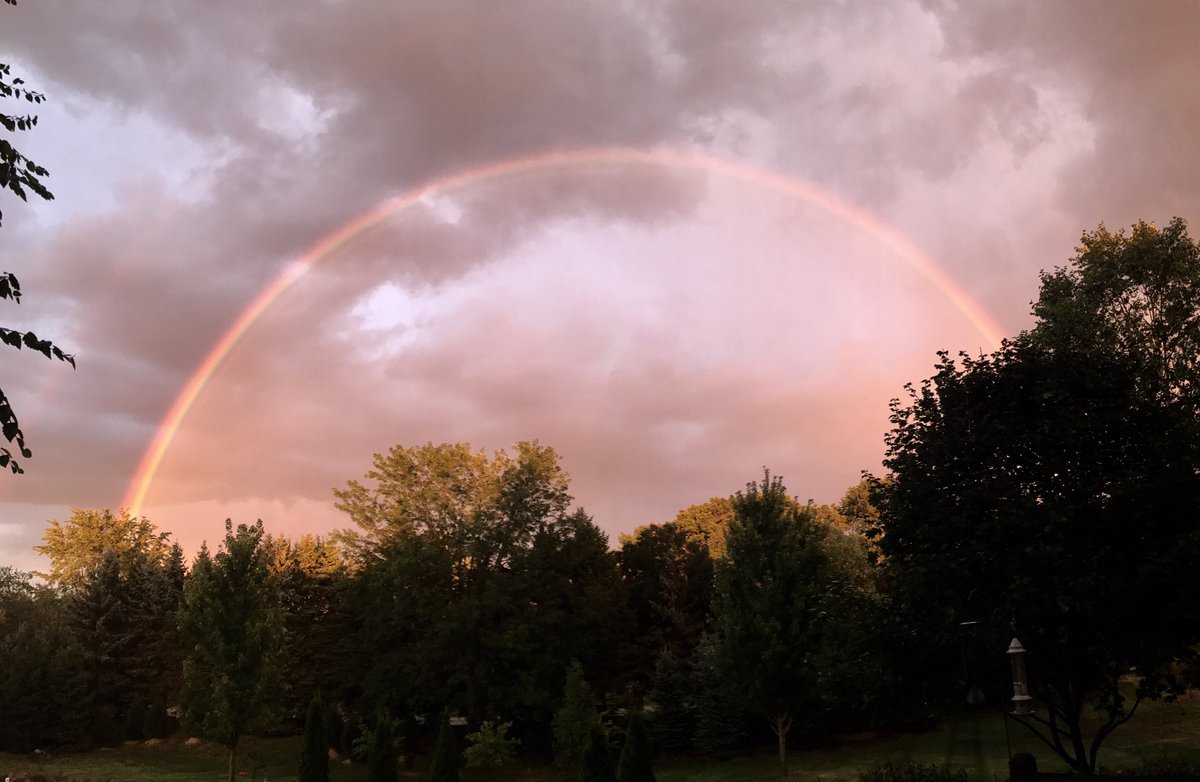 kgsoards's tweet photo. God is so, so good. Just when we needed it most. https://t.co/K3OL3vK8Ts