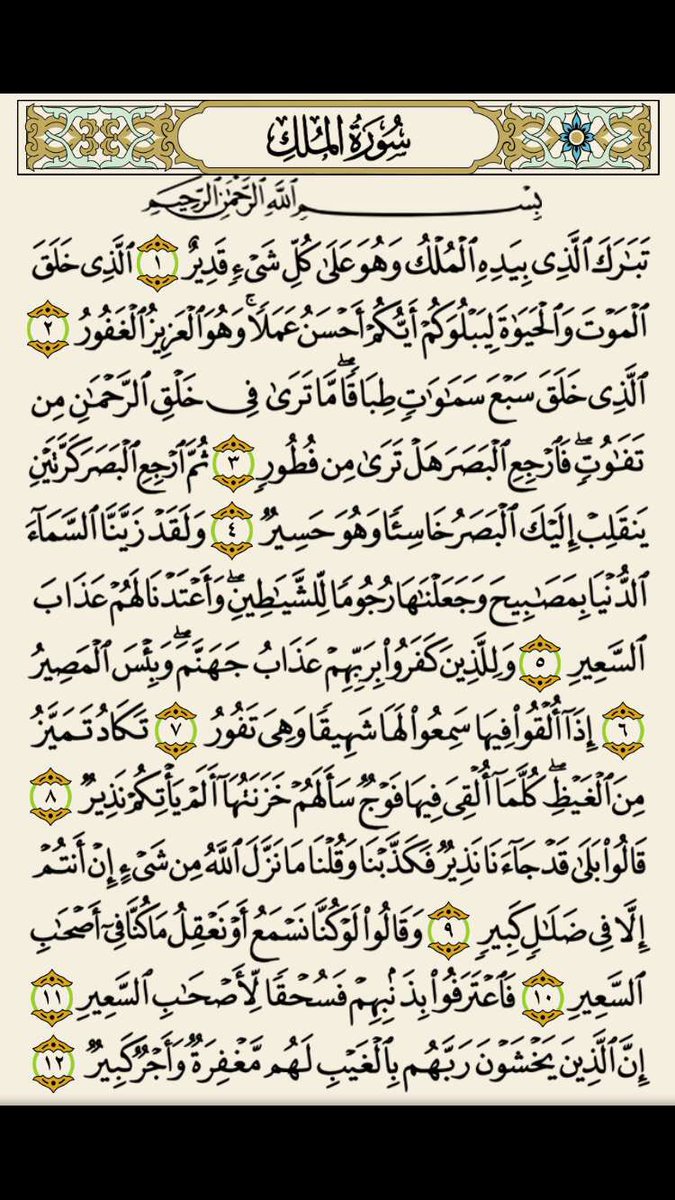 OSF_04's tweet photo. فضل قرأت سورة الملك قبل النوم :
مانعة لعذاب القبر مجادلة عن
صاحبها يوم القيامة مسببة
للحسنات والثواب شافعة لصاحبها💛
#اجر_لي_ولك https://t.co/pdEnnydMTc