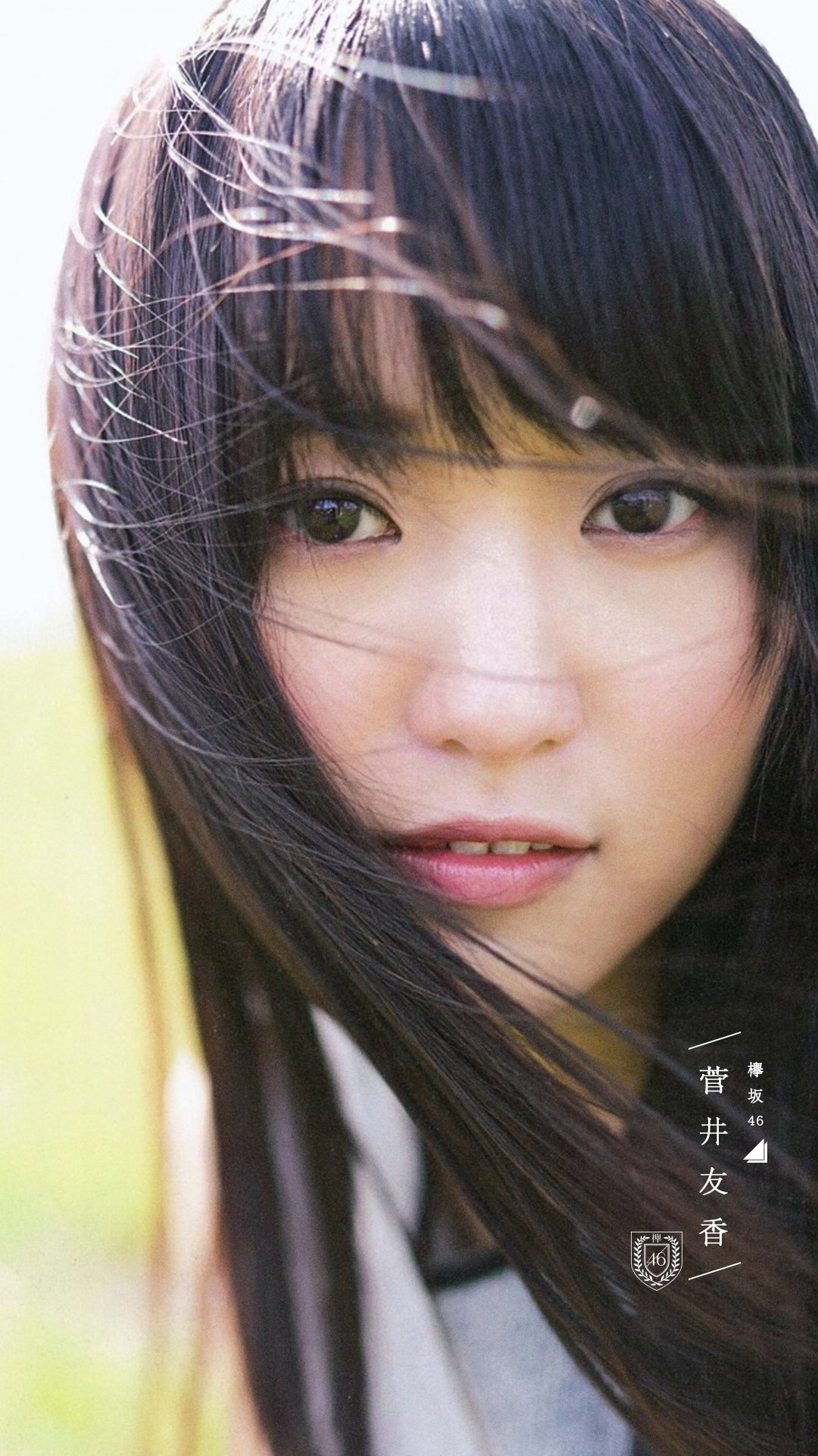 Twitter 上的 乃木坂欅坂趣味垢 欅坂46 菅井友香 壁紙 菅井友香 壁紙 欅坂46 加工 Nogikeya加工 T Co Osccblbtfq Twitter