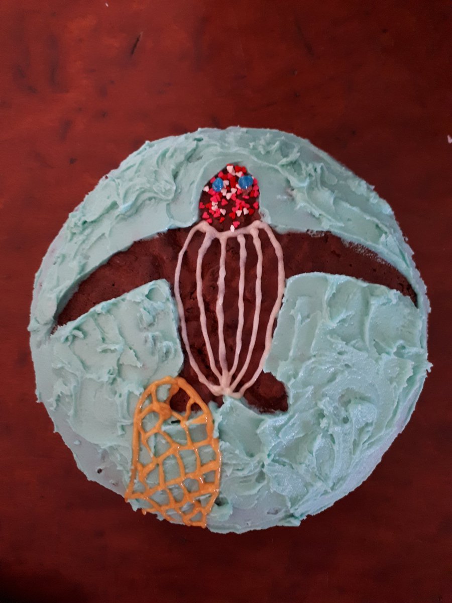 Leatherback hatchling caught in fishing net #tsbakeoff. Jarrah (8) and Katherine
