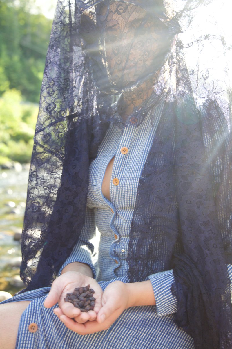 lupawayward's tweet photo. Sunshine and riverside photoshoots  #whiteriver #VTsummer #summerlovin https://t.co/c6B3hZp9PR