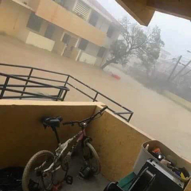 View image on Twitter