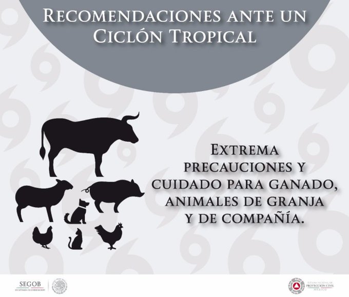 Ver imagen en Twitter