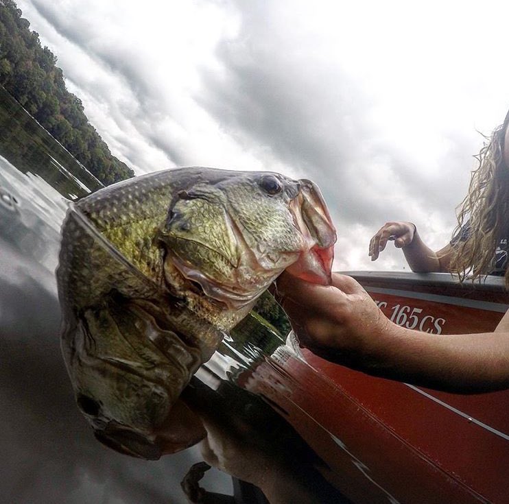RT for girls who fish! 

Awesome picture posted by <a href="/christinaelizb/">christina</a>

#fishing #girlswhofish
