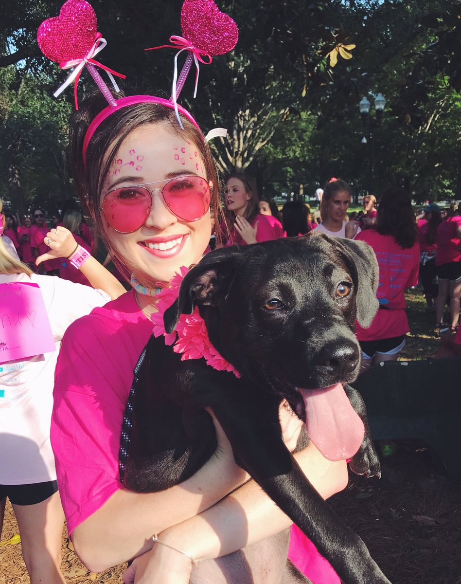 PayneLiotta's tweet photo. Like if you think macey looks like a bug and daisy looks great https://t.co/oFYh4suWxg