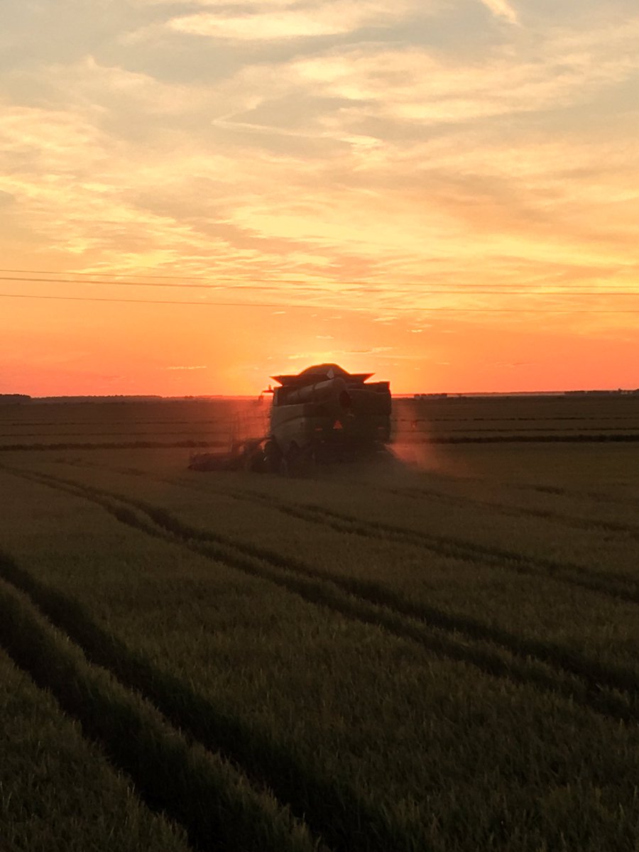 mitchsthomas's tweet photo. Still rolling on day 6 of #rice #harvest17 #ThomasFarms #RiceFarming #EatMORice #RollingWithTheFlow #nofilter https://t.co/KCbatWqWqg