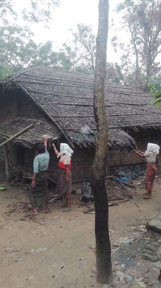 Bingali Terrorist Group
(BTG )