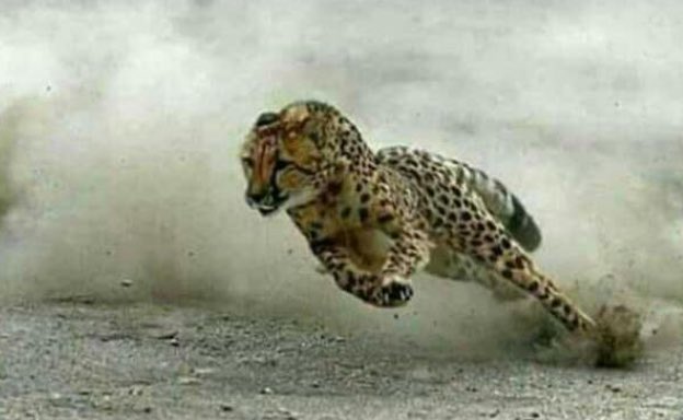 Idriss_dsk1er's tweet photo. Quand vous Vous embrassez pendant Longtemps  et elle Te dit : " bébé, Vas Boucler La Porte." 😹😹😹😹🏃🏾🏃🏾🏃🏾 https://t.co/196cpYmo3N
