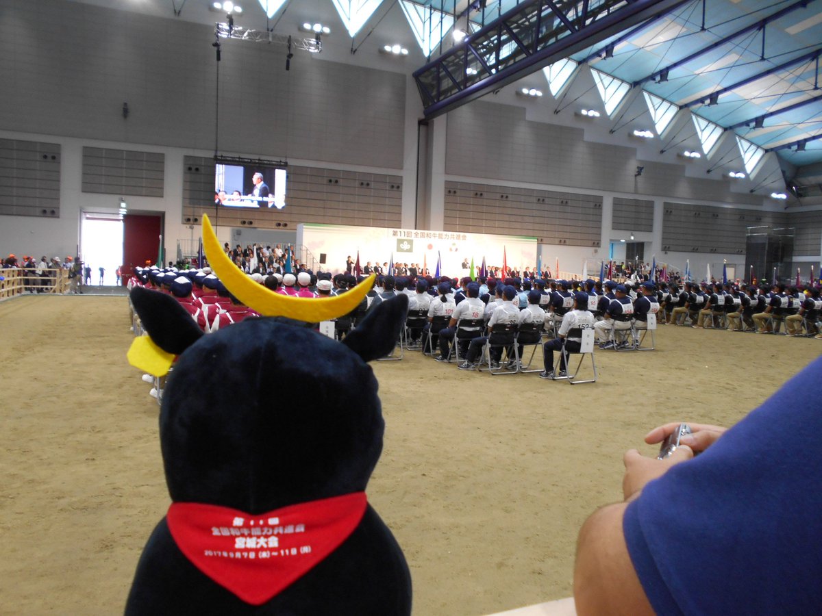 ushimasamunekun's tweet photo. 開会式が始まったモ～

#和牛の祭典　＃全共　＃牛政宗 https://t.co/4aMtU8bSeN