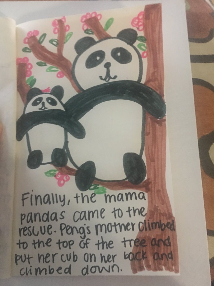CourtniReese's tweet image. culturally accurate descriptions in storybooks #LLED #pandas