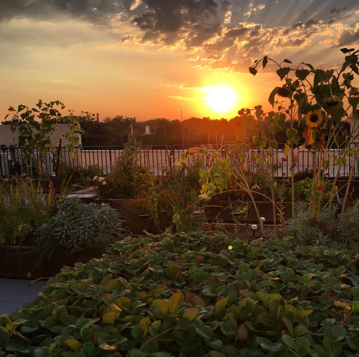 BoxedUpMusical's tweet image. Final dress for tomorrow's newest episode of Boxed Up!