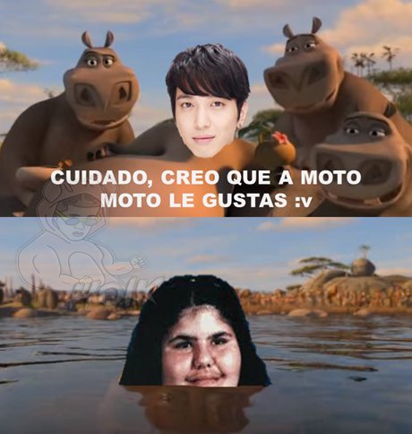 Zucio__Dan's tweet photo. a pura gorda le gusta esa madre #BasuraComoElKpop https://t.co/NEYCqBIM5E