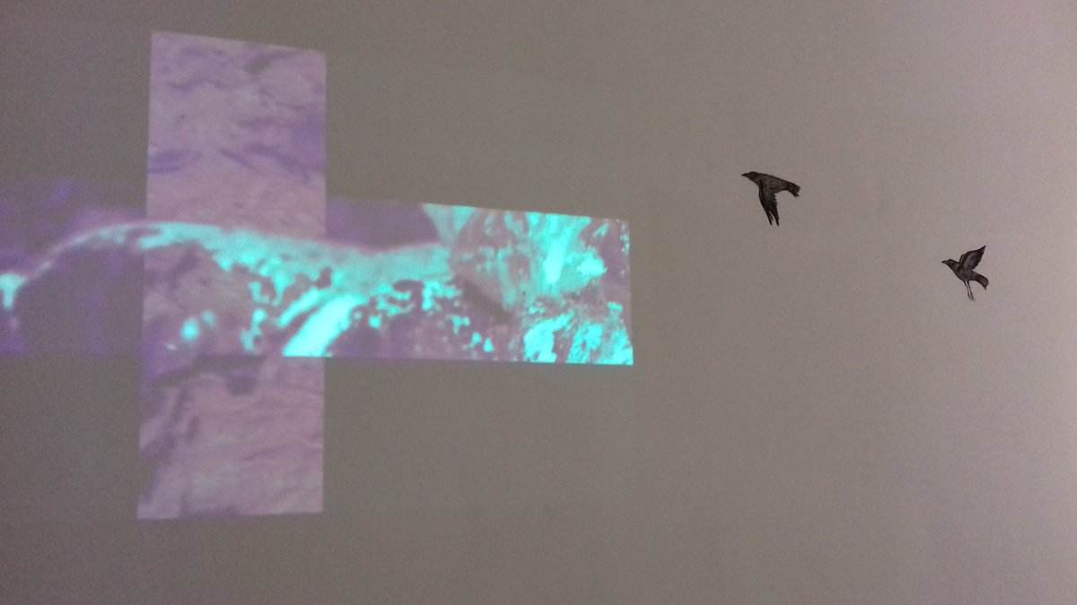 Бүтээлч Д.Одончимэг,Саунд артист Ц.Даваажаргал нарын ТЭНГЭР НУРАХААС ӨМНӨ, САЛХИ СЭРЭХ ҮЕЭР үзэсгэлэн 976 галерейд 2017.10.06хүртэл гарч бна