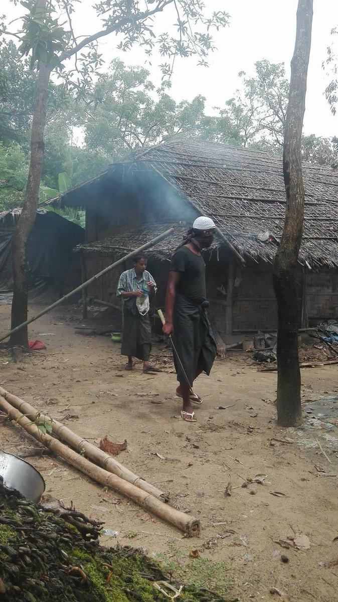 zayarphyo89's tweet photo. Look who burns the village in Myanmar (rakhine state)
#muslims #terrorists #bengalis #Rohingyas #Rohingyaterrorists #extremists #islam https://t.co/TAxnk3ifao