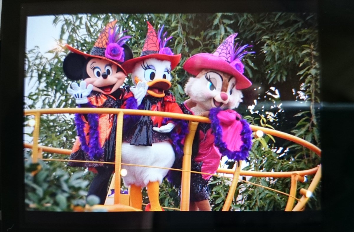 ディズニーハロウィン17 ディズニーハロウィン17