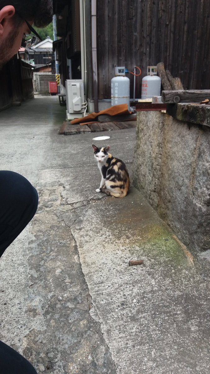 LouiseHung1's tweet photo. #Graveside farming in #Manabeshima. Plus temple cat. https://t.co/ADrsBrYwlN