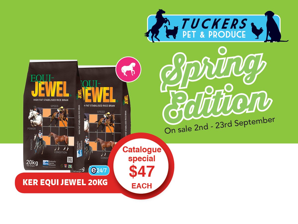 sandersfodder's tweet photo. Equi-Jewel 20kg, catalogue special price $47ea https://t.co/0C5k2Fttsi