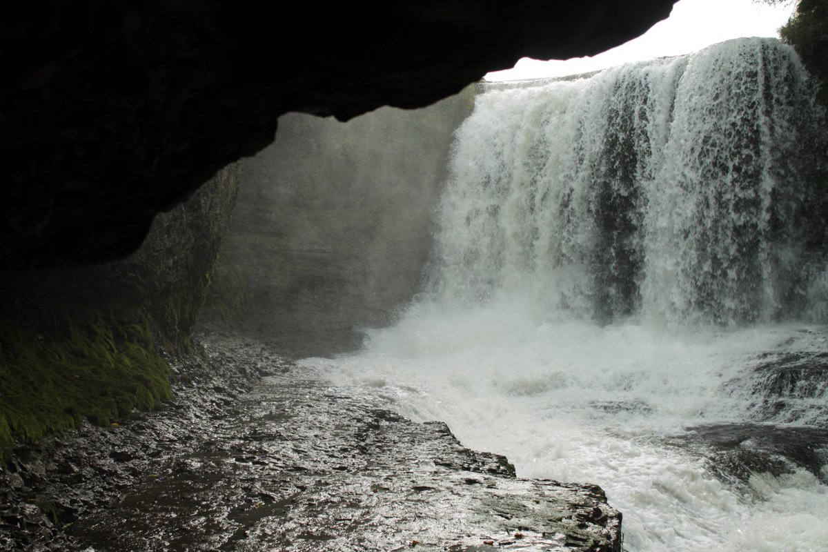 littlewullf's tweet image. Thanks for the adventure @Gravity_EST ❤️