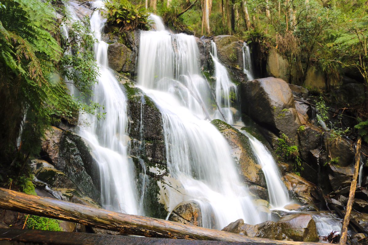 Tayla_newy's tweet photo. Today was well worth the drive and the hike! @CanonAustralia @visitvictoria @Melbourne @NatGeoPhotos #toorongo https://t.co/7Gokg06iuM