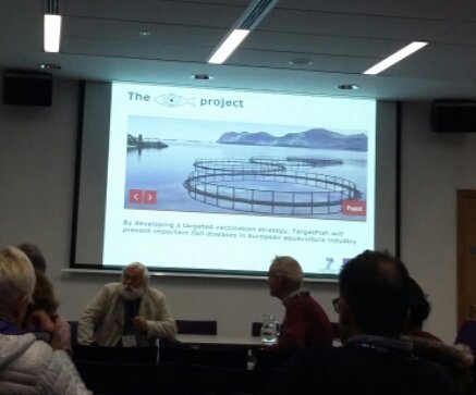 MilenaMMonte's tweet photo. Today's session @EAFP2017 started with Pat Smith and Geert Wiegertjes talking about the #targetfish project https://t.co/Ng2rHR35TX
