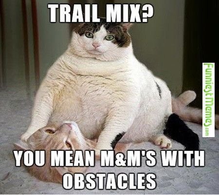 Lol ME https://t.co/AB5P3RNSyp<a href="/tag/ronjeremy"class="tags"><span>#ronjeremy</span></a><a href="/tag/leapyear"class="tags"><span>#leapyear</span></a><a href="/tag/happyleapday"class="tags"><span>#happyleapday</span></a>