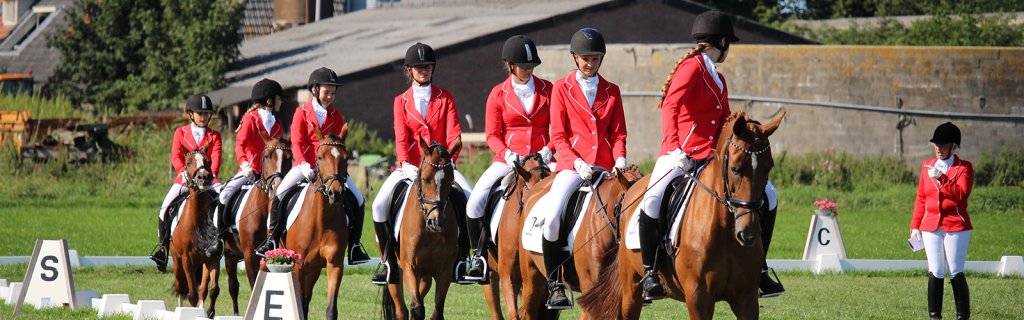 Grootse veiling bij jubilerend PSV Vollenhove - rtvslos.nl/2017/09/07/gro…