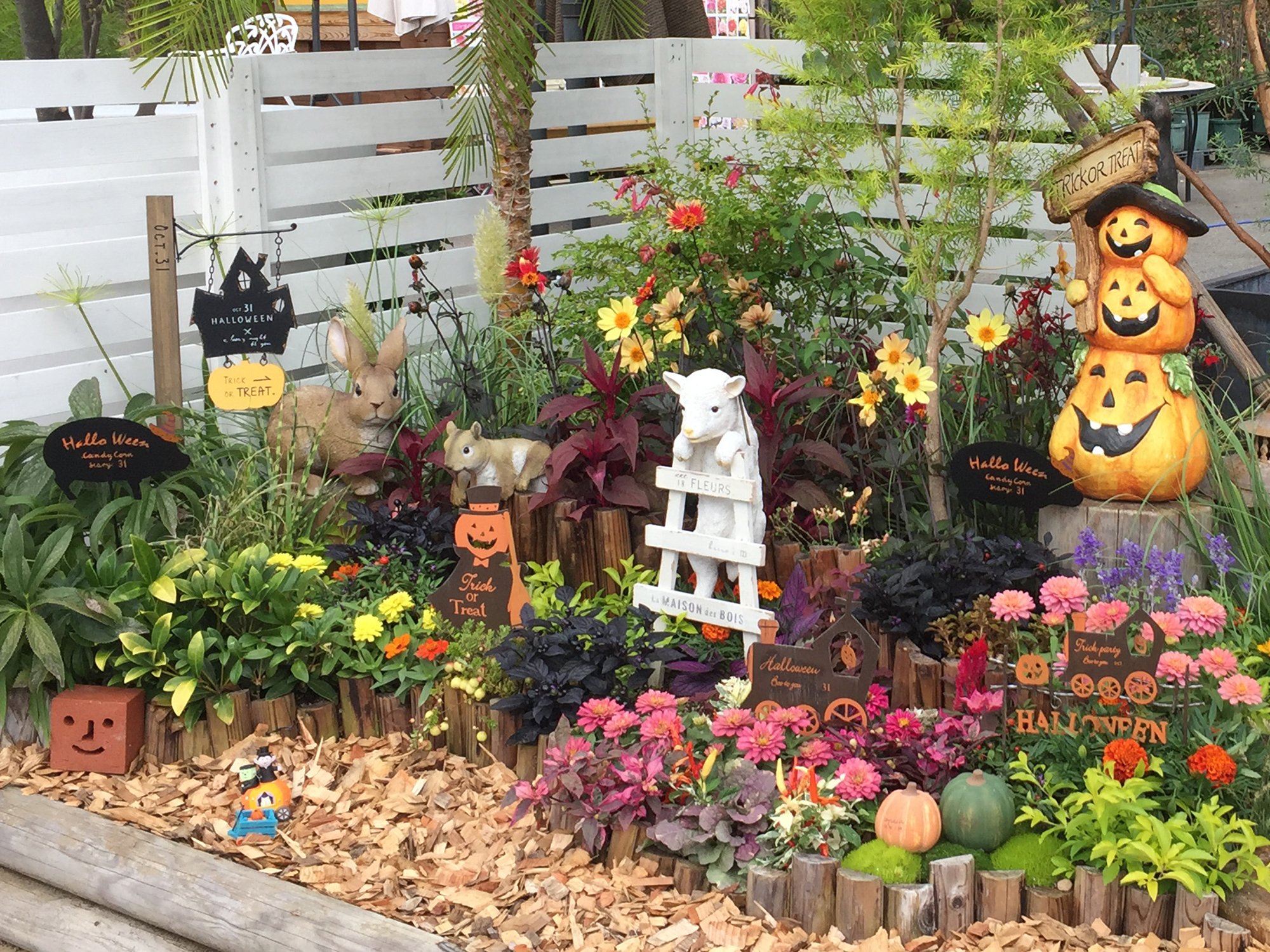 青山ガーデン 花壇をハロウィン仕様に変身 植物と一緒にオーナメントを飾ると賑やかになりますね T Co Yuq5ib24jn 青山ガーデン 花壇 ガーデニング ハロウィン 置き物 ガーデン雑貨