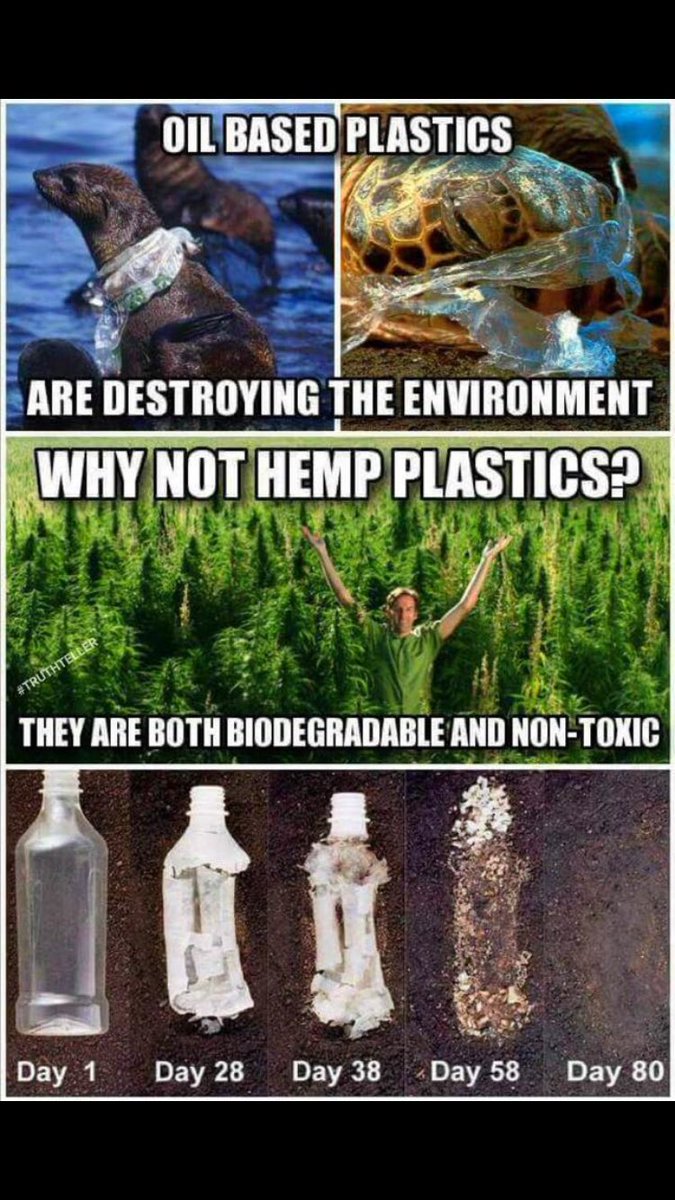 HempMeUp_'s tweet photo. https://t.co/Wus8fuRMEC