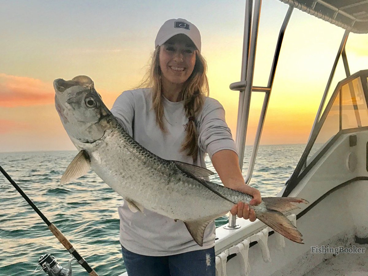 achintaeco's tweet photo. I caught this fish. How is it?  https://t.co/Mu0bj6Jhfz Follow and RT it. https://t.co/dJ3ZvFR7CR