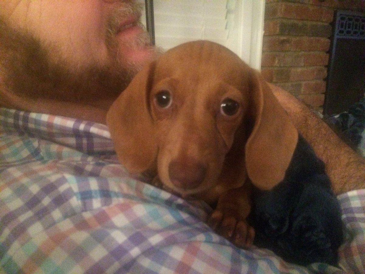 bohon_joy's tweet photo. Our new baby... https://t.co/xi1MG41721