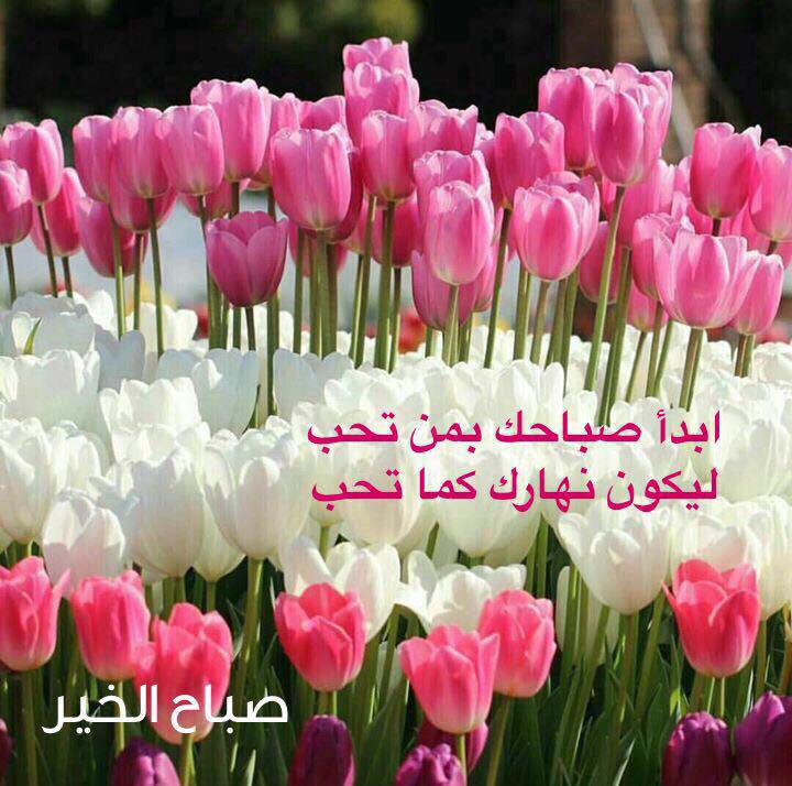 Bassem Bakri (@bakri_bassem) on Twitter photo 